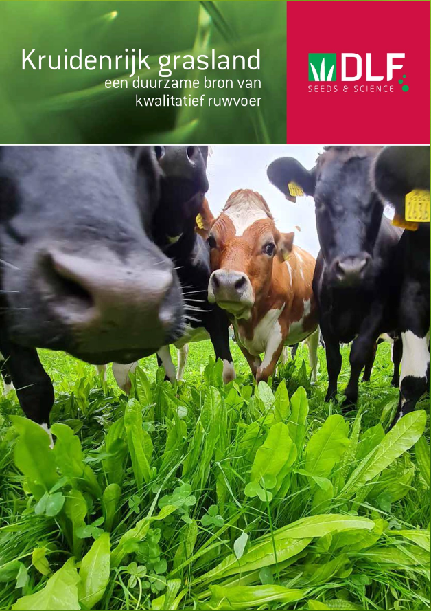 Kruidenrijk grasland: betere koegezondheid en een stabiele opbrengst | Leaflet DLF
