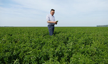 Wist je dat eiwit van eigen land een positieve impact heeft op de voerkosten en het klimaat?
