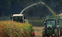 Ook in Vlaanderen: inzaai vanggewas na mais uitgesteld tot 31 oktober
