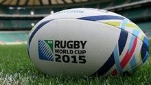 Sterk DLF gras voor de Rugby World Cup