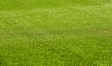Bereid je voor op droogte en behoud een gezonde grasmat met ProNitro