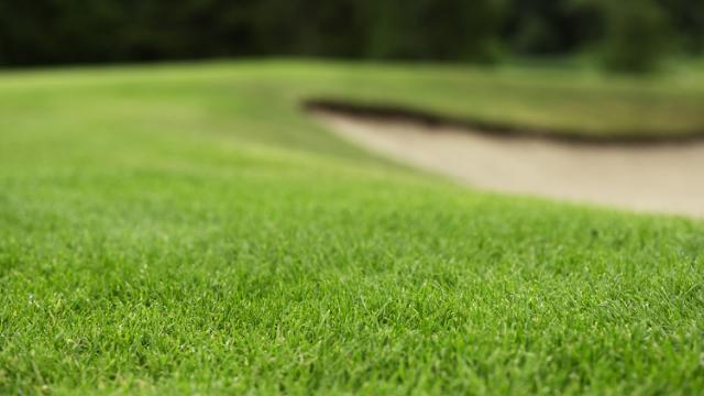 Close up 4turf golfbaan
