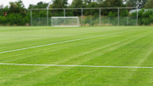 Voetbalveld