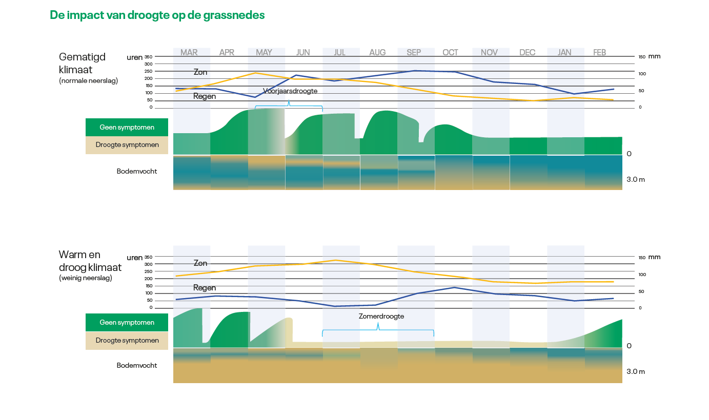 Impact van droogte op grassnedes | DLF