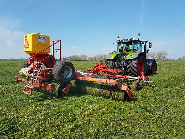 Beste graszaad voor doorzaaien | DLF