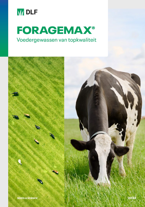 DLF - ForageMax Brochure 2023