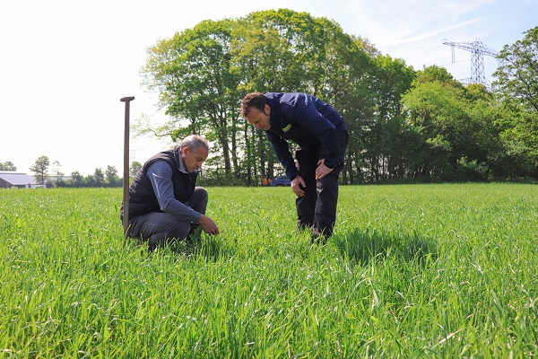 Droogte en grasopbrengst | DLF