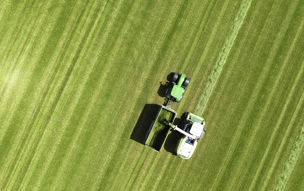 Graslandverbetering: waarom is dat belangrijk?