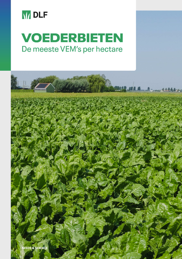 Voederbieten: de meeste VEM's per hectare | Leaflet DLF